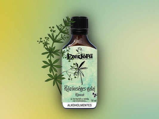 EzerJóFű -Közönséges galaj alkoholmentes kivonat