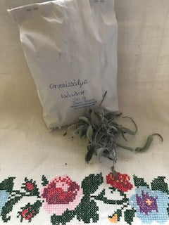 Orvosi zsálya (szárított)  -50g